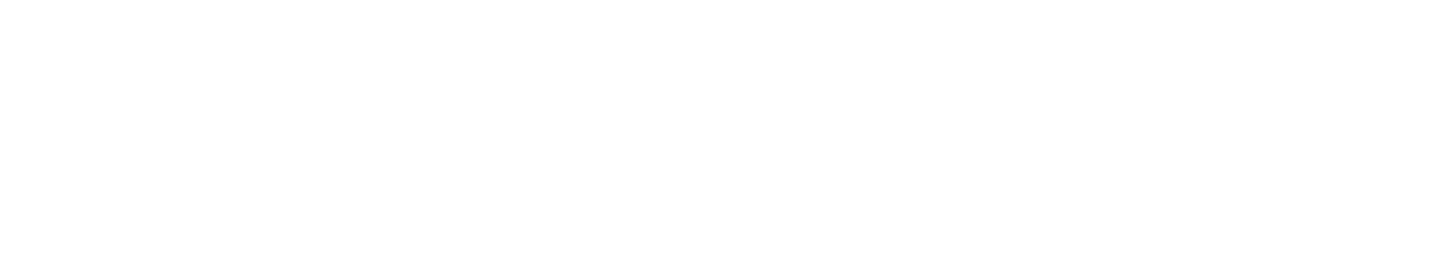 SB BAVU INC ATTORNEYS